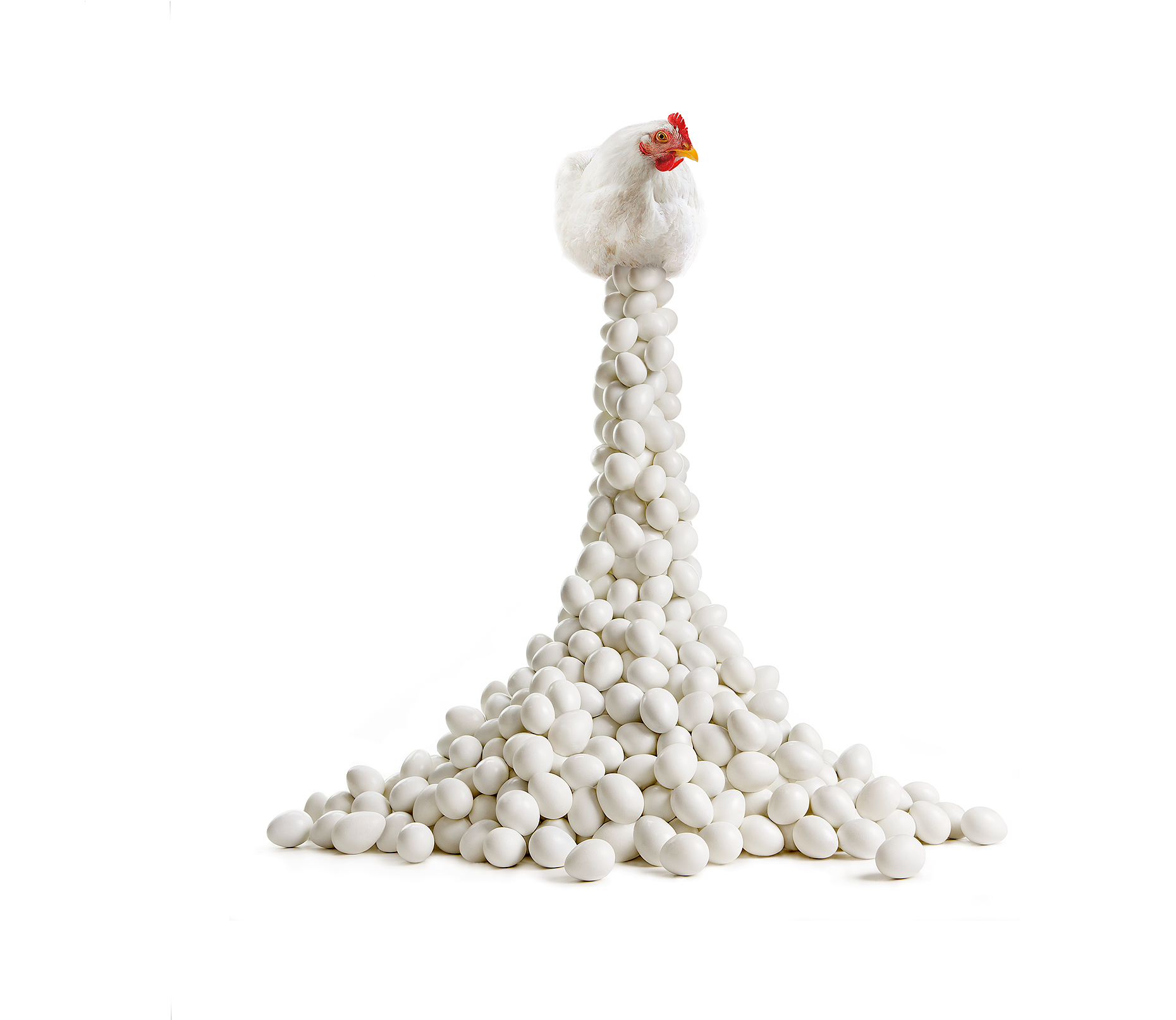 Chick_Eggs