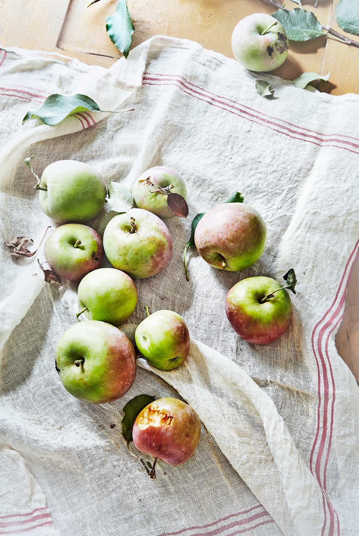 Green_Apple_8_2017_3182_MASTER