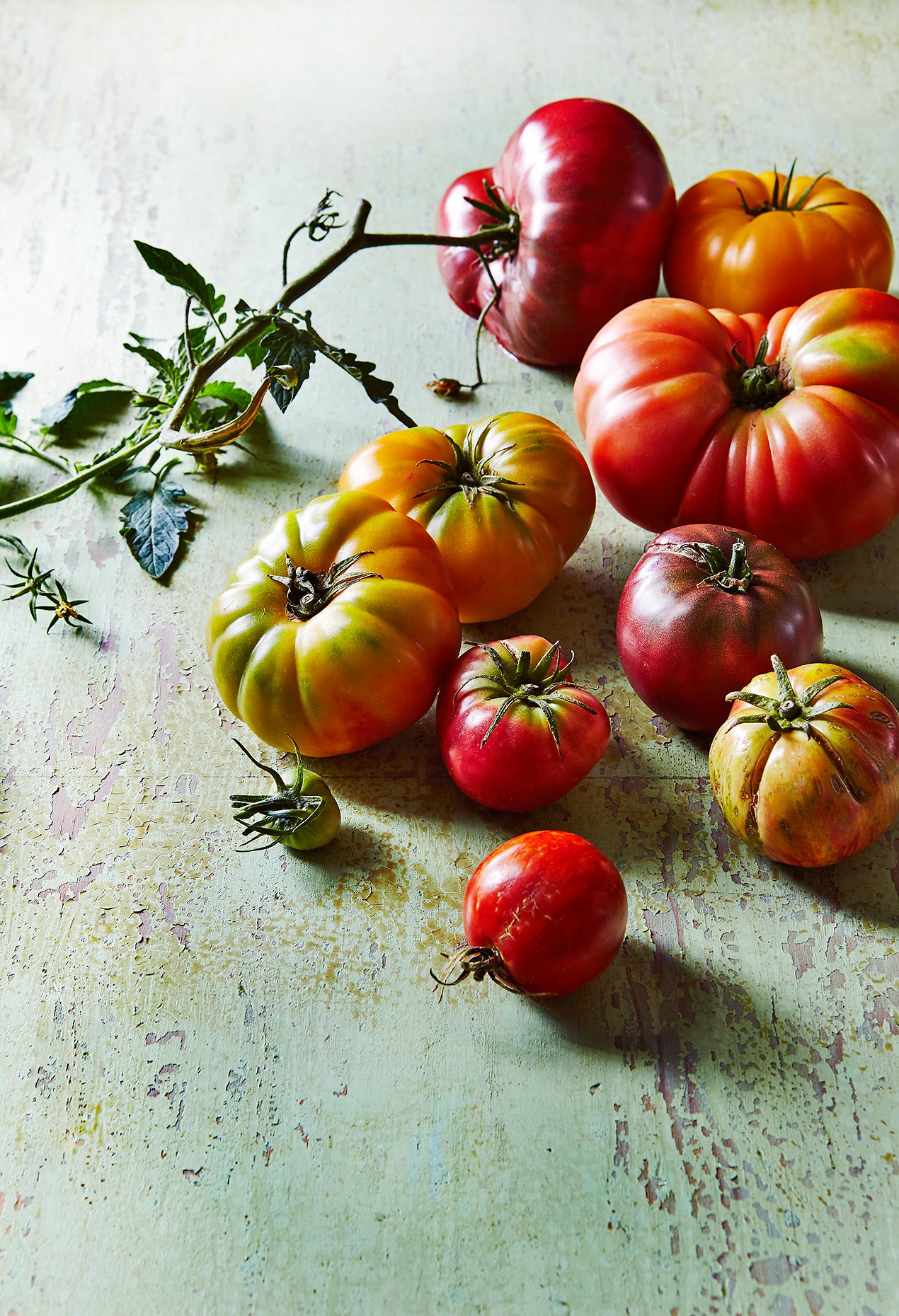 Tomatoes_8_2017_3021_Master