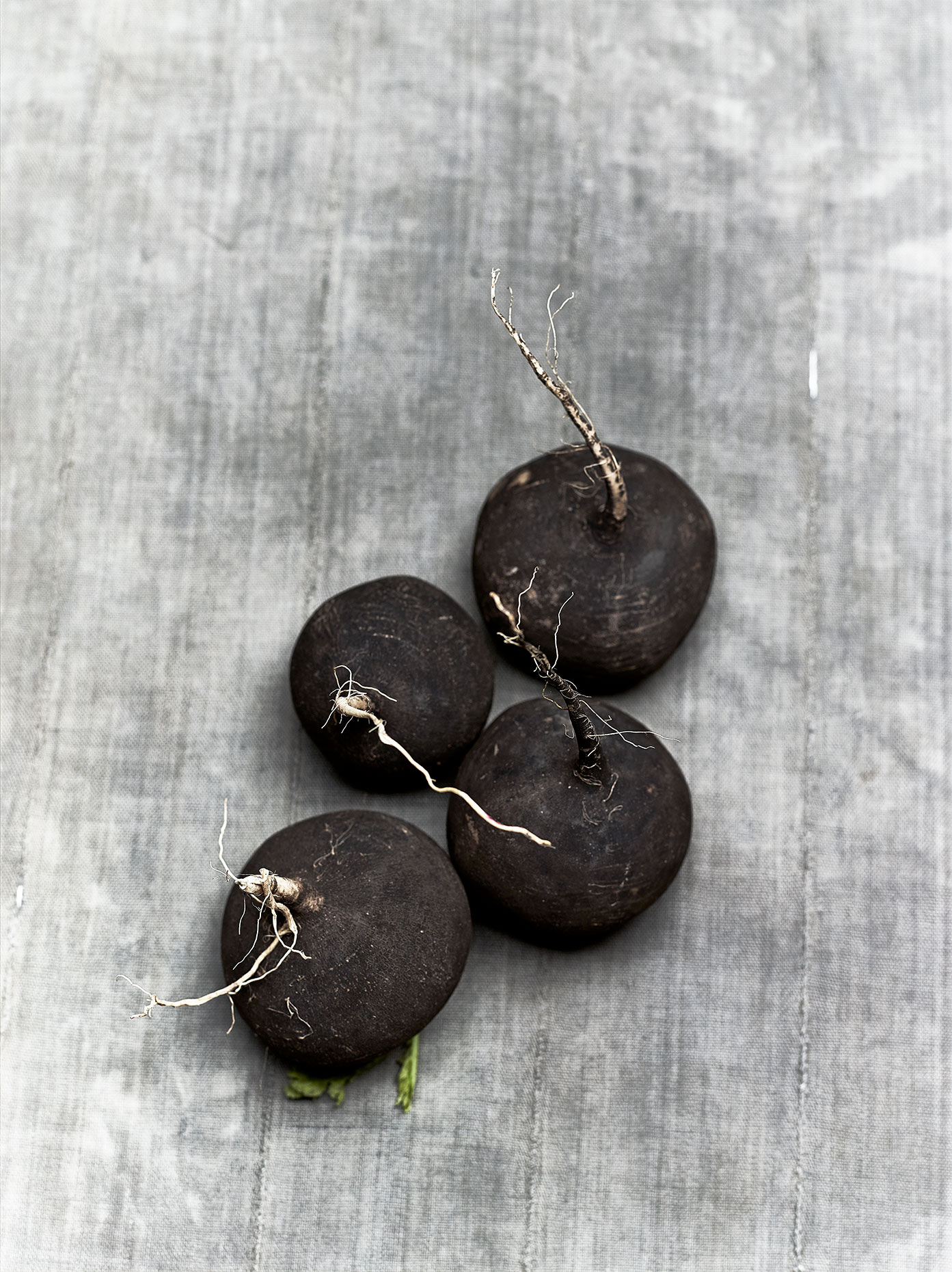 Veg_Test_Blk_Radish_SOFT_11_2015_6876_Flat_FINAL_1
