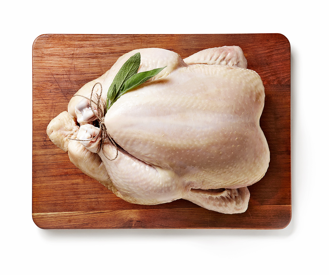 chicken_0227